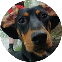 Profilbild von „Theo T.“